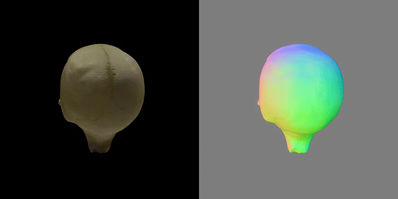 Serviciu Scanare 3D cu AI skull test file